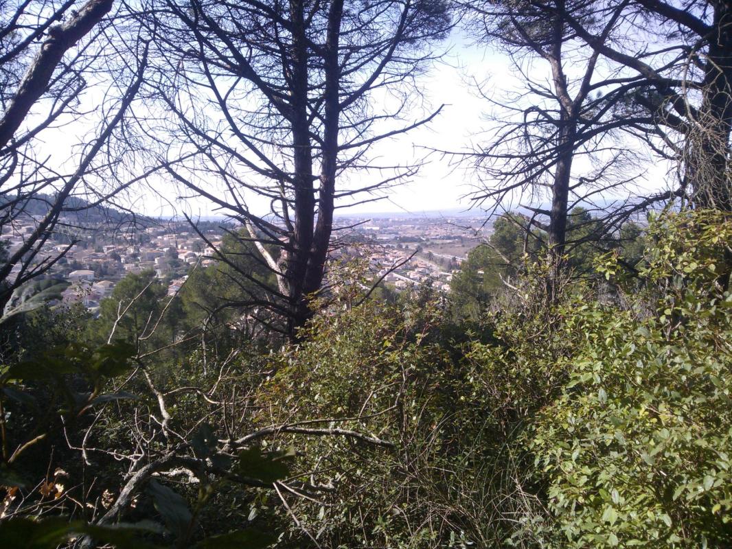Carcassonne , plein Ouest.