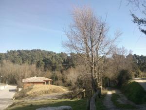 colline 212